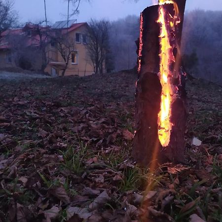 Apartament W Domu Na Wsi Tomaszów Lubelski Exteriör bild