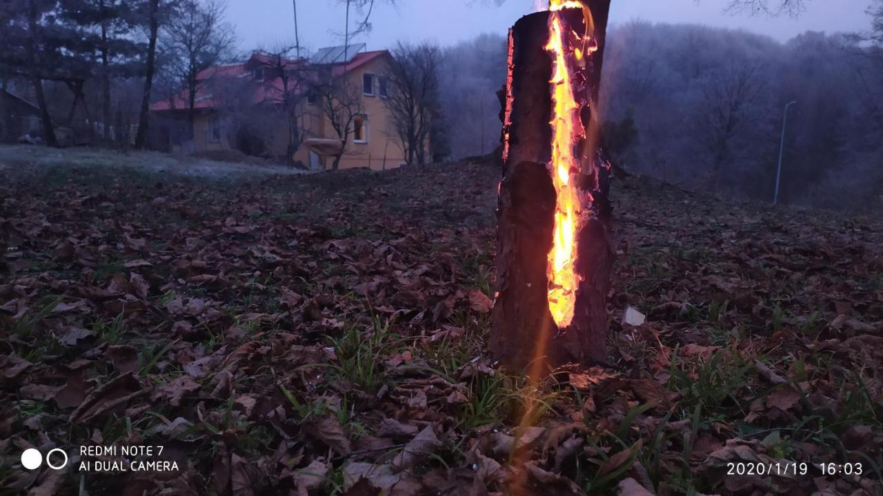 Apartament W Domu Na Wsi Tomaszów Lubelski Exteriör bild
