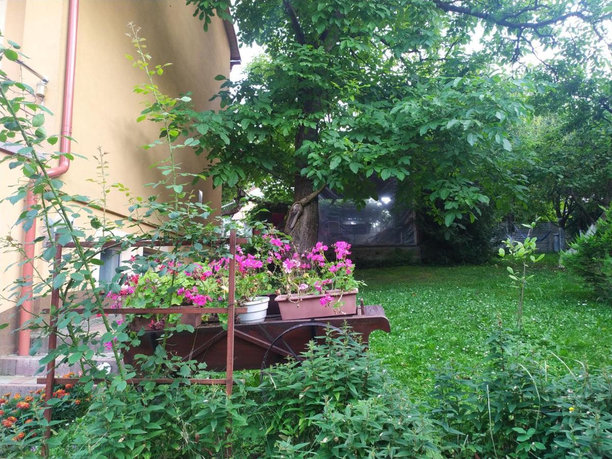 Apartament W Domu Na Wsi Tomaszów Lubelski Exteriör bild