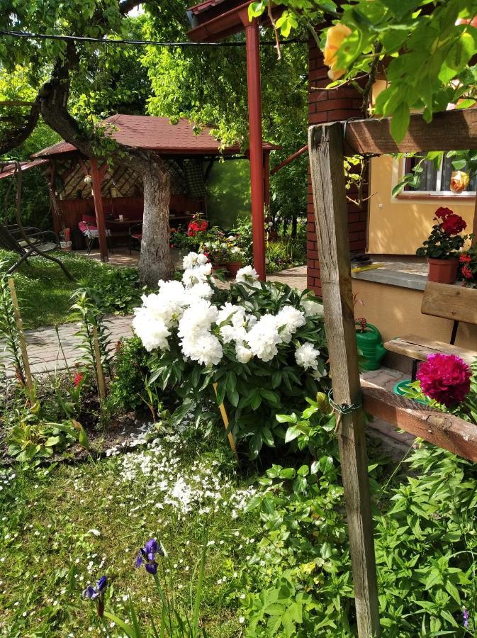Apartament W Domu Na Wsi Tomaszów Lubelski Exteriör bild